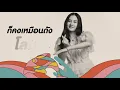 NaNa  - โลมาไม่ใช่ปลา Acoustic Version [Official Lyrics Video]