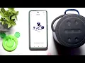 BOSE Portable Home Speaker - Is the App Available on Android