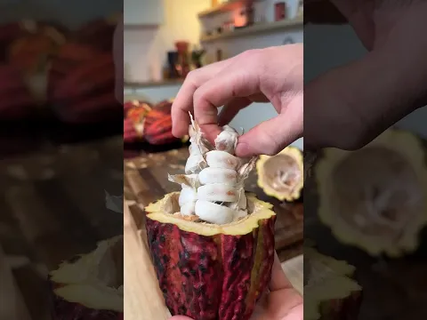 HOMEMADE CHOCOLATES 🍫 😋 that'll blow your MIND #chocolate #homemade #food #creative #viral #standard