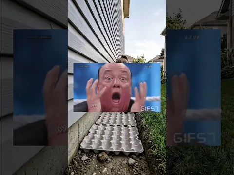 قررت ازين مزرعتي وابني فيها اجمل الورود !!! #shortvideo #النظافه