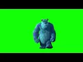 Monsters Inc - Sulley Walking