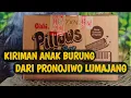 Lagu PAKETAN BURUNG DATANG LAGI‼️ REVIEW LOLOHAN BURUNG DARI LUMAJANG PRONOJIWO⁉️