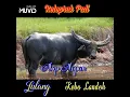 Download Lagu Ketoprak Pati Alap-Alapan Lulang Kebo Landoh @wongagungchannel7103 #ketoprak #hiburan