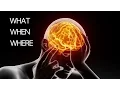 How the brain encodes time and place