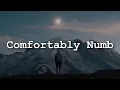 Download Lagu Pink Floyd - Comfortably Numb (Lyrics)