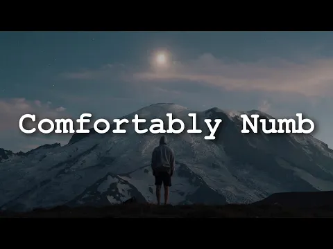 Download MP3 Pink Floyd - Comfortably Numb (Lyrics)