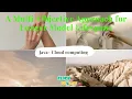 JAVA Cloud Computing Projects - Multi-Objective Approach for Longer Model Lifespans