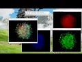 ImageJ Tutorial How to overlay images