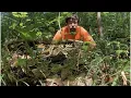 Using Radiotelemetry to find Timber Rattlesnakes in Southern Ohio