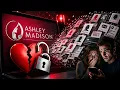Ashley Madison The Data Breach That Destroyed Millions of Lives