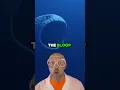 Download Lagu Scariest sound in the ocean 🌊😱