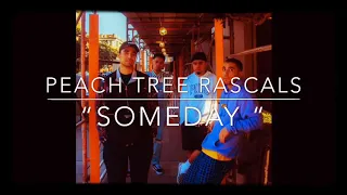 Download Peach Tree Rascals- SOMEDAY( Lyrics) MP3