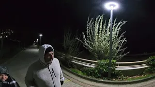                            دندنها