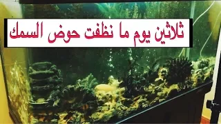 تنظيف حوض السمك بعد شهر كامل   شوفوا الصدمه   انسد الفلتر                دندنها