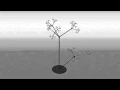 Animation of a fractal tree