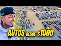 I entered the SECRET WAREHOUSE where they AUCTION CARS starting at 1000