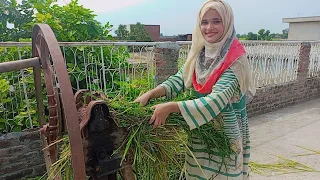 desi larki ky desi kam village routine work