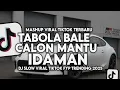 Download Lagu DJ PICA PICA 2 X TABOLA BALE X CALON MANTU IDAMAN SLOW VIRAL TIKTOK FULL SONG MAMAN FVNDY 2025
