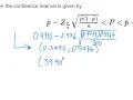 Example - Estimation and Confidence Interval for One Population Proportion