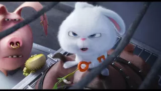 Comme Des Bêtes / Extrait "Max et Duke veulent se rallier à Pompon" VF [Au cinéma le 27 juillet]