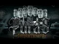 Alto Mando Sierreño - Sin Pensar, Yo te Engañe [Puras Complacencias 3] (Cover Audio)