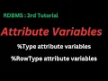 Attribute Variables in PLSQL What are the attribute variables in plsql
