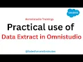 Salesforce OmniStudio DataMapper DataRaptor Extract Practical Example