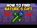 Terraria How To Get Nature s Gift Terraria Nature s Gift seed 1 4 4 9
