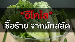 เชื้อ E. coli คืออะไร และมันก่อโรคได้อย่างไร