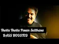 Download Lagu Thottu Thottu Pesum Sulthana BASS BOOSTED | Ethirum Puthirum | Mammooty, Vidyasagar