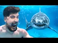 Download Lagu Would You Swim With Sharks For $100,000?