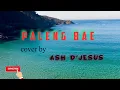 Download Lagu PALENG BAE(COVER)Lyrics....