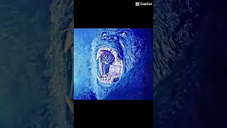Godzilla And Kong Edit Funk Of The Damned SXID 