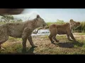I Always Wanted A Brother (From "Mufasa: The Lion King") (Official Video)