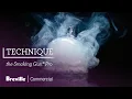 Download Lagu The Smoking Gun® Pro | Master the technique: Smoking foods with a cloche | Breville Commercial