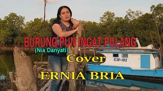 burung pun ingat pulang nia danyati cover ernia bria studio donbers malaka chanel sdm tv malaka