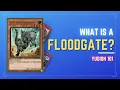What is a FLOODGATE and is it bad YUGIOH 101