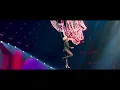 P!NK - Get The Party Started (Beautiful Trauma Tour Live 2019) (Singing over the chandelier)