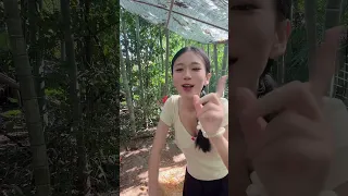 Little Fangfang Feeding chickens to raise you 2026 09 08 12