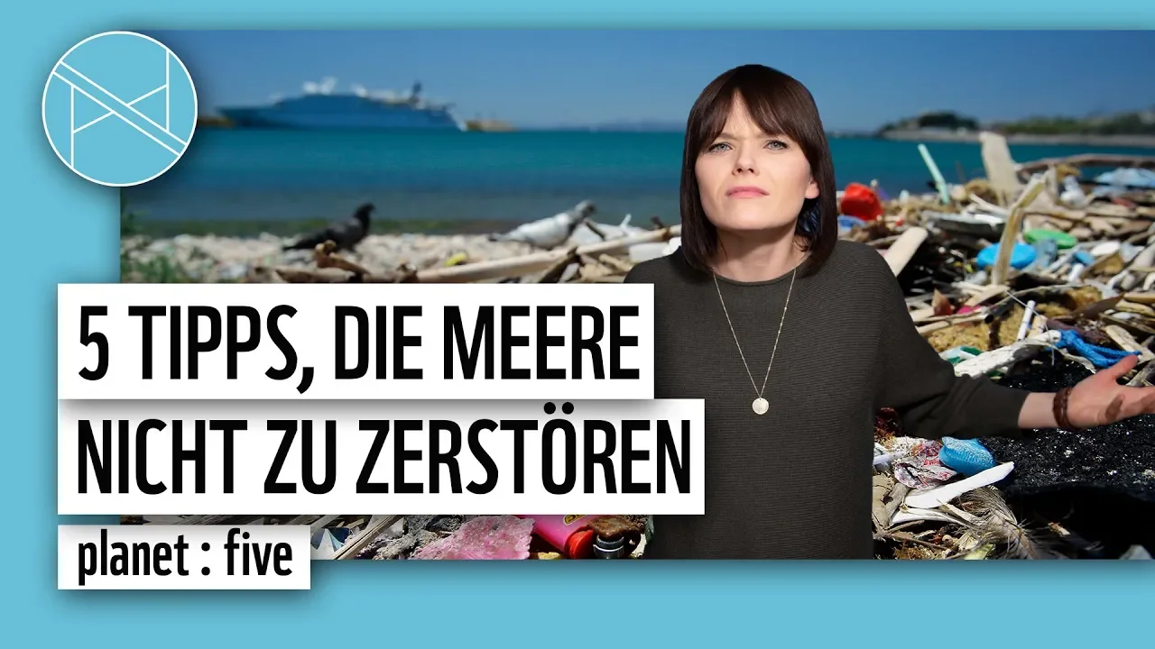 5 Tipps, die Meere NICHT zu zerstören | WWF Deutschland