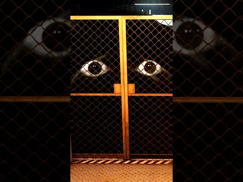 LE NEXTBOT ANGRY MUNCI VA VOUS TRAUMATISER !!! π±π