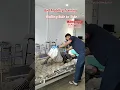 Bed Mobility Training Rolling side-to-side by Physiotherapist
