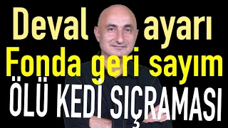 Deval değil ayar | Fonda ödemeye geri sayım | Borsada ölü kedi sıçraması