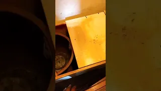 اسهل طريقه للدخان في الرحاله 