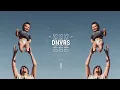 Download Lagu Bishop Briggs - superhuman