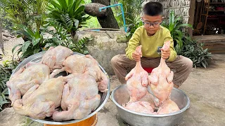 5 Chickens cooking | Chicken curry recipes | Chef Seyhak