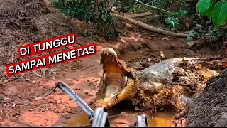 DI TUNGGU SAMPAI MENETAS