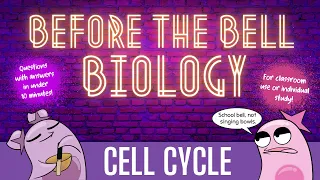 Cell Cycle: Before the Bell Biology