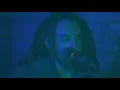 Kitchen Dwellers "Live From The Cabin" 8/1