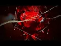Laura van Dam & Sarah De Warren - Supernatural (Music Visuals)